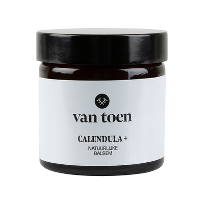Calendula +